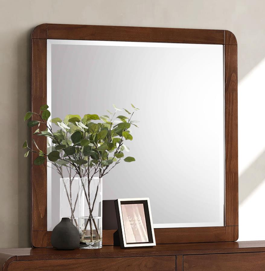 Robyn Dresser Mirror Dark Walnut - 205134