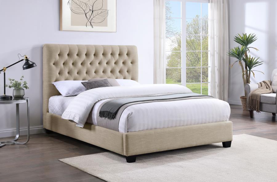 Chloe Upholstered Queen Panel Bed Oatmeal - 300007Q