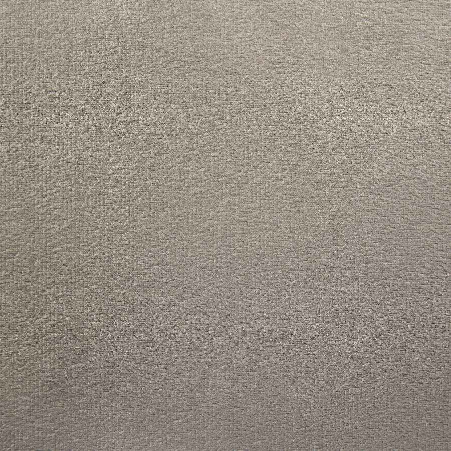 Marley Upholstered Queen Wall Panel Bed Light Brown - 300833Q