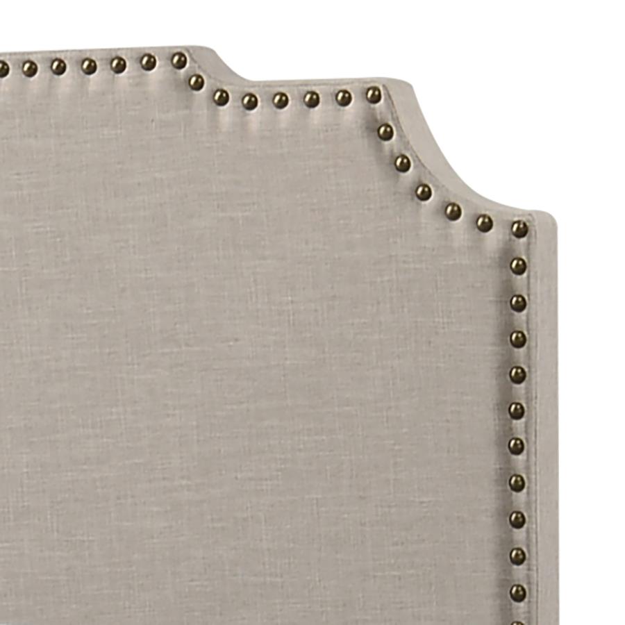 Tamarac Upholstered Queen Panel Bed Beige - 310061Q