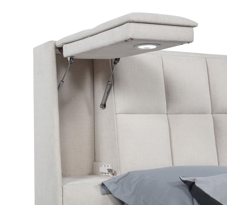 Dreux Upholstered Queen Panel Platform Bed Cream - 315948CRMQ