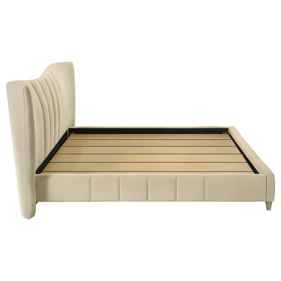 Evelyn Upholstered Eastern King Panel Platform Bed Ivory - 315956KE