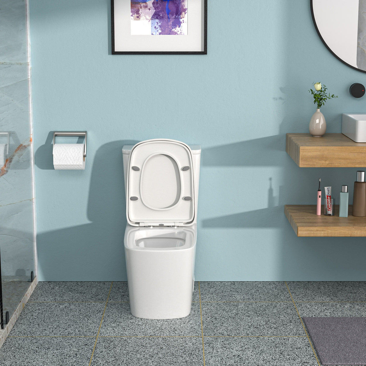 1 Piece Toilet & Dual Flush And Soft Closing Seat - White