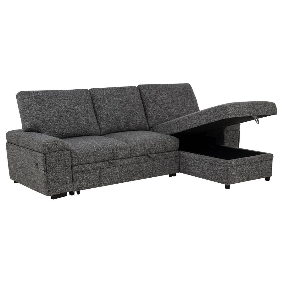 Demko Sleeper Sectional Sofa with Speaker and Storage Chaise Granite - 500355