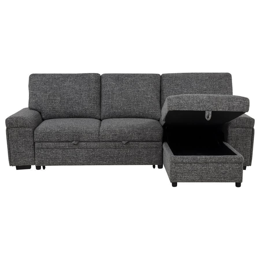 Demko Sleeper Sectional Sofa with Speaker and Storage Chaise Granite - 500355