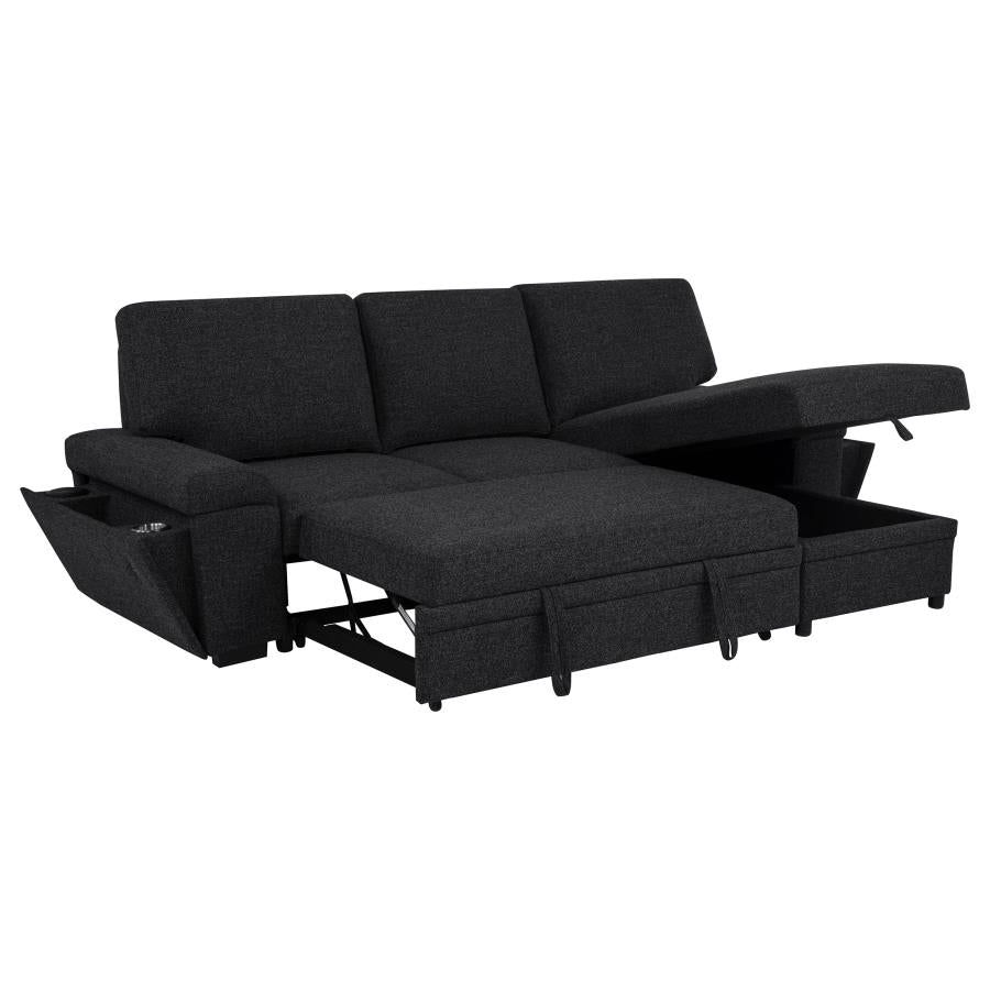 Demko Sleeper Sectional Sofa with Speaker and Storage Chaise Black - 500357