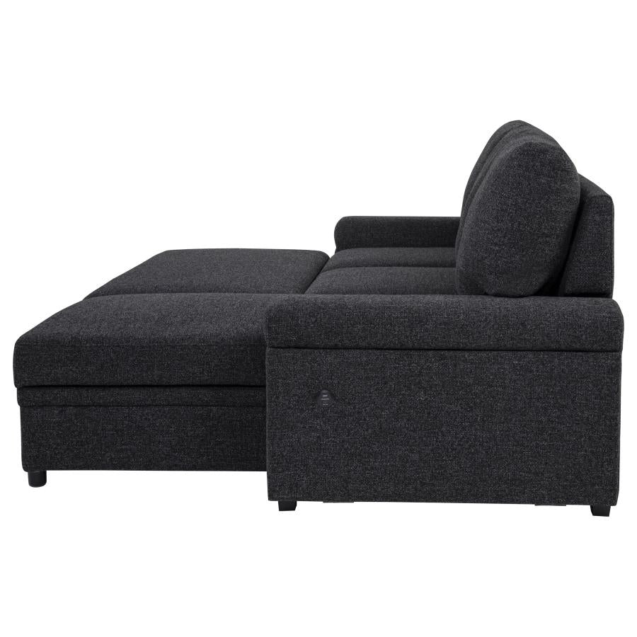Demko Sleeper Sectional Sofa with Speaker and Storage Chaise Black - 500357
