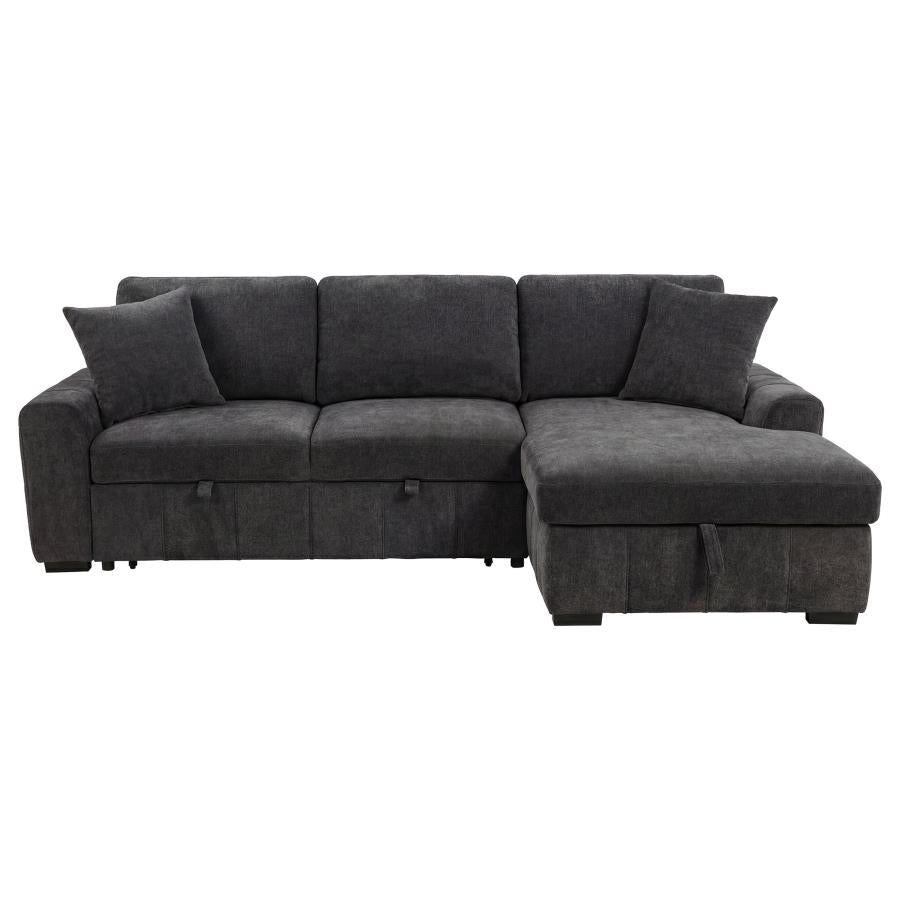 Pastrana Upholstered Sleeper Sectional Sofa RAF Chaise Grey - 500359