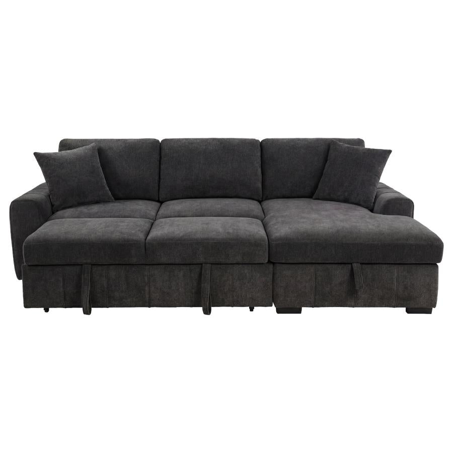 Pastrana Upholstered Sleeper Sectional Sofa RAF Chaise Grey - 500359