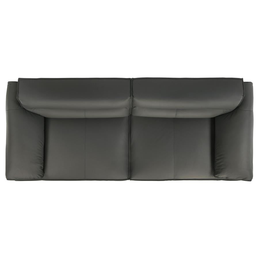 Buxton 2-piece Leather Upholstered Sofa Set Graphite - 509504-S2