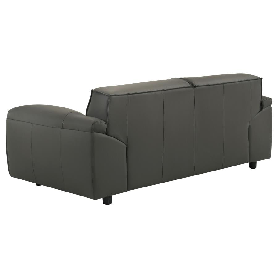 Buxton 2-piece Leather Upholstered Sofa Set Graphite - 509504-S2