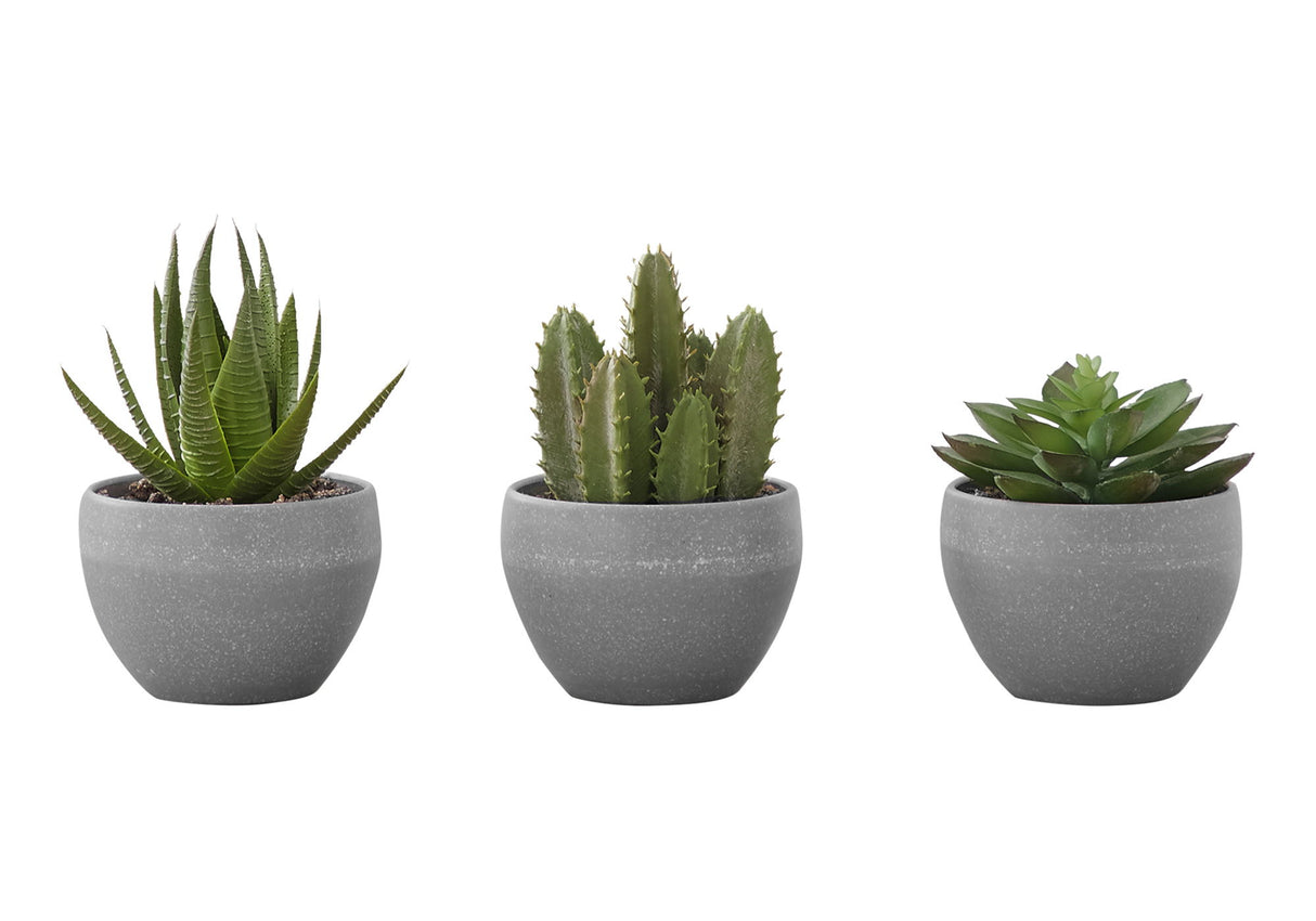 Artificial Succulent Plants (Set of 3)