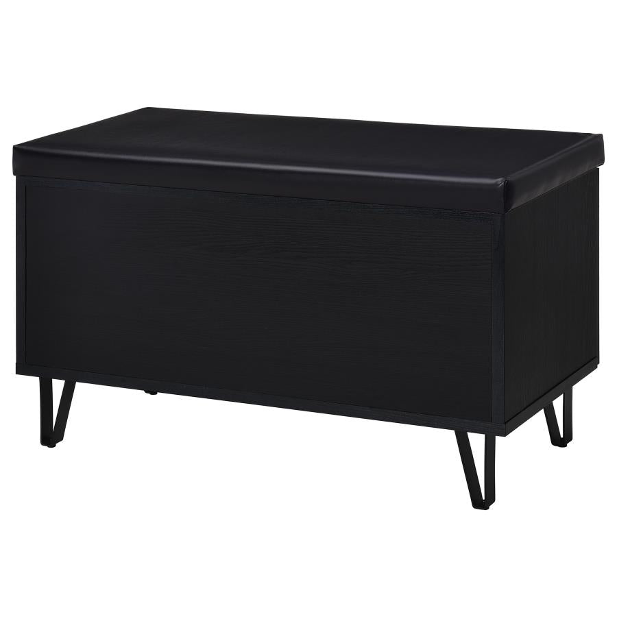 Brixton 2-door Padded Entryway Shoe Storage Bench Black - 915152