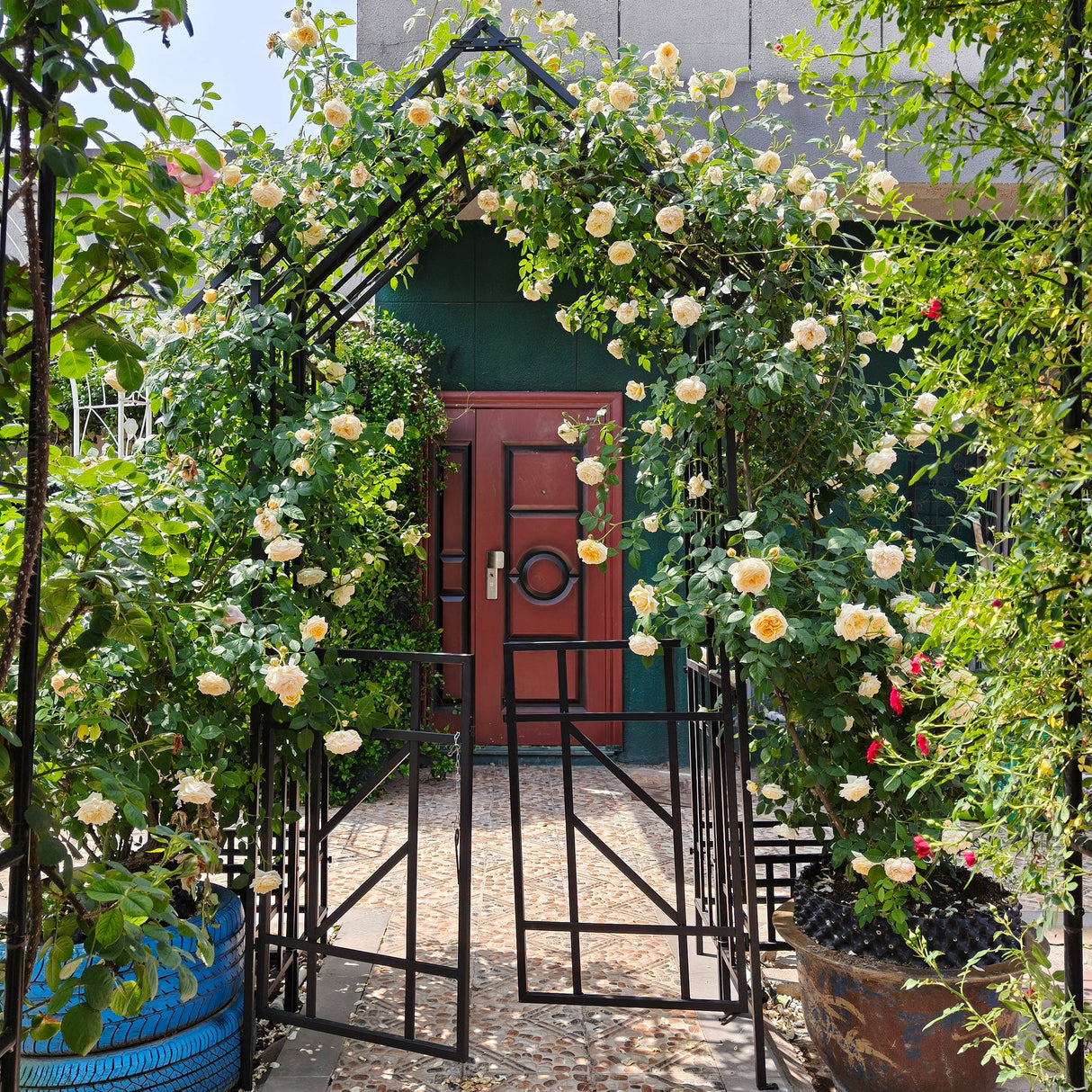 Garden Arch With Gate Climbing Plants Support Outdoor - Black