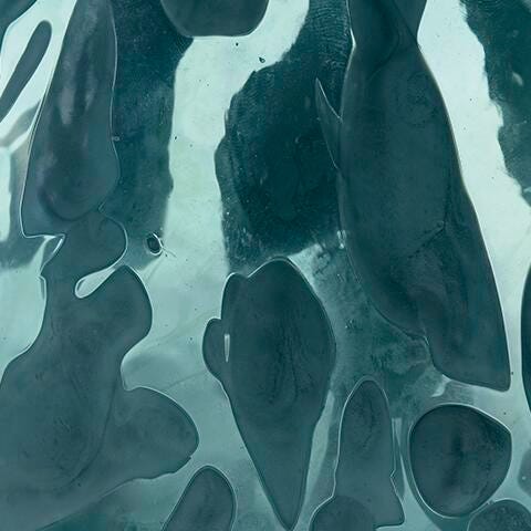Cartshaw Vase - A2000739
