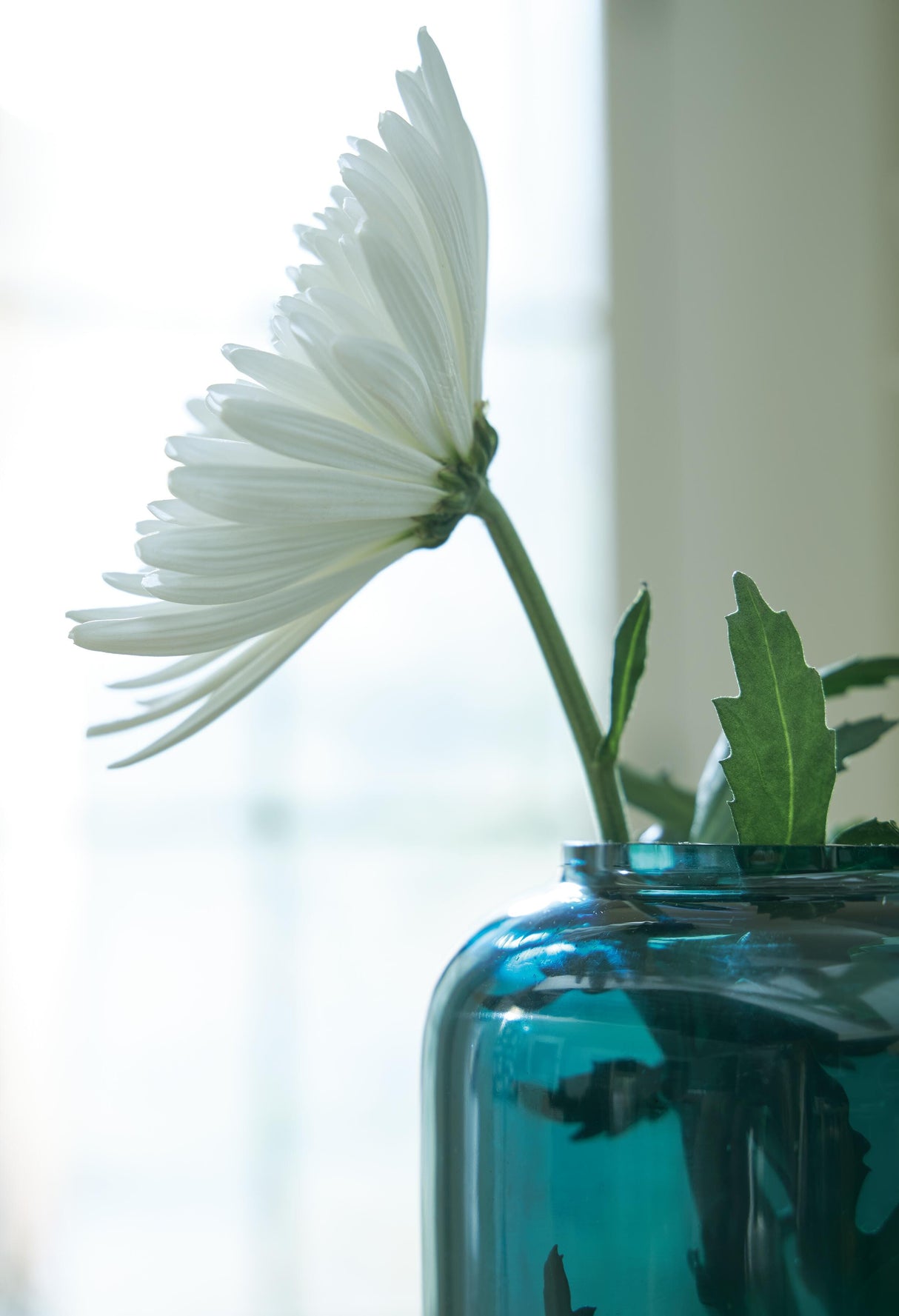 Inisland Vase Set (Set of 2) - A2000797A1