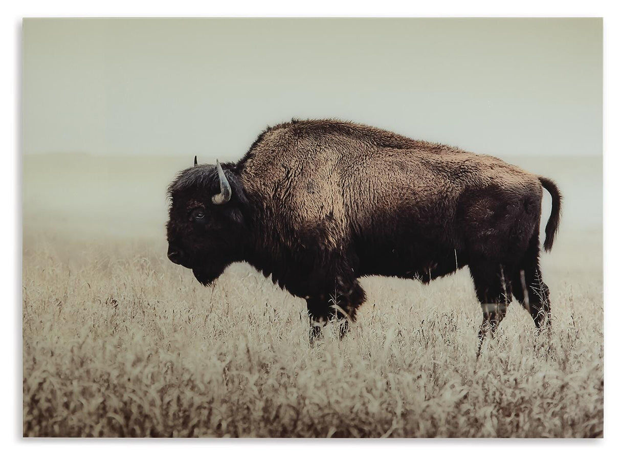 Brutus Wall Art - A8000289