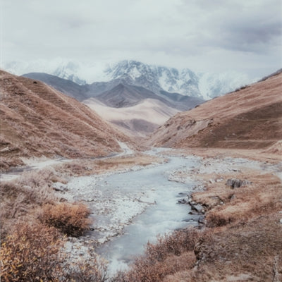 Darinby Wall Art - A8000420