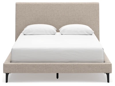 Cielden Queen Upholstered Bed with Roll Slats - B1199-81