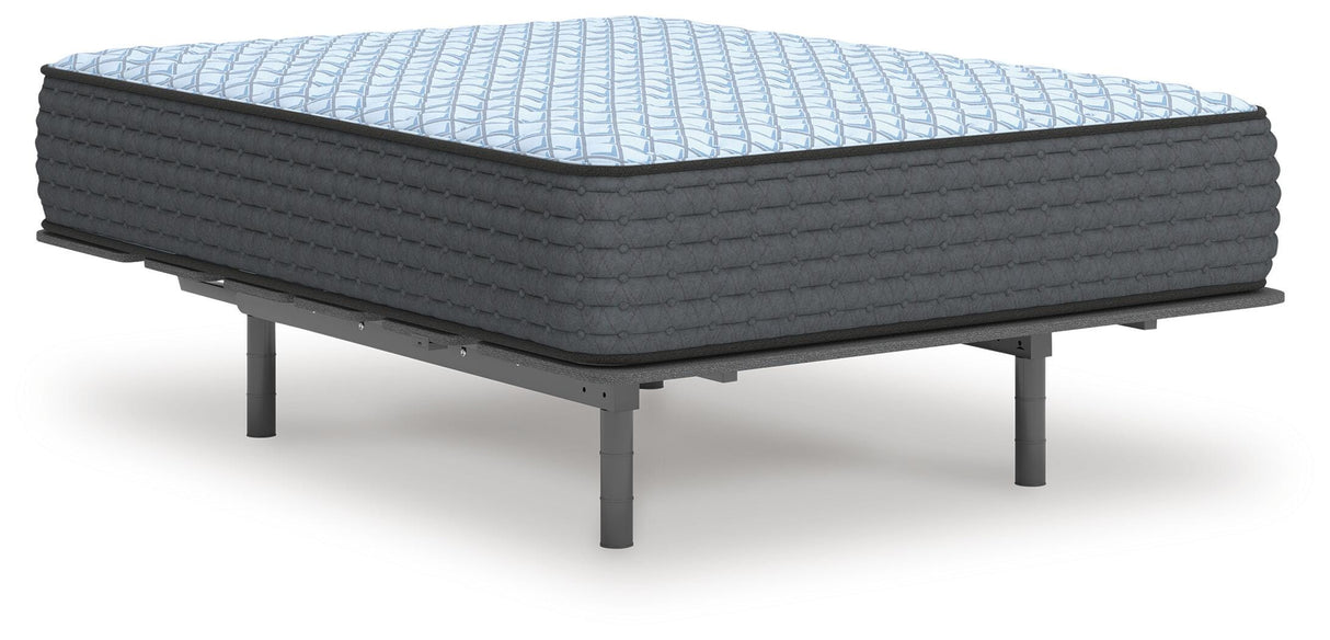 Destin Cove Firm California King Mattress - M33051