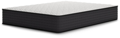 ZBENCH M41031 5/0 LIMITED EDITION F - M41031