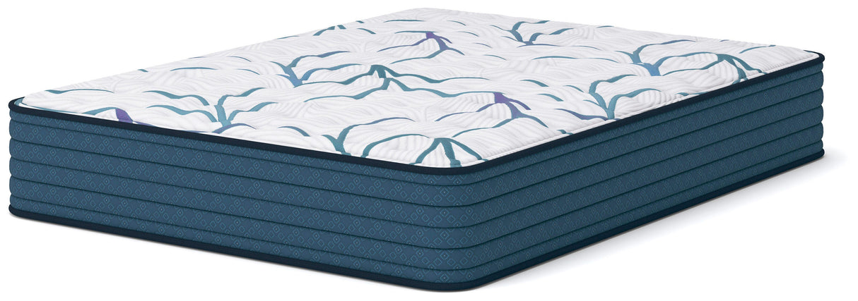 Limited Edition Firm 3.0 Queen Mattress - M45031