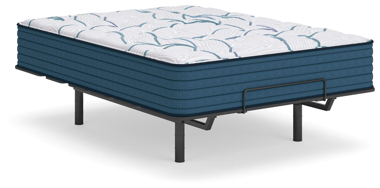 Limited Edition Plush 3.0 Queen Mattress - M45131