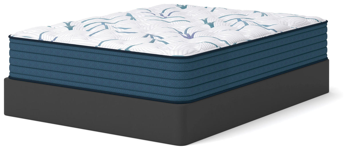 Limited Edition Plush 3.0 Queen Mattress - M45131