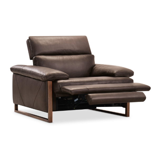 Jericho Power Recliner with Power Headrest - SS461-PH1-089