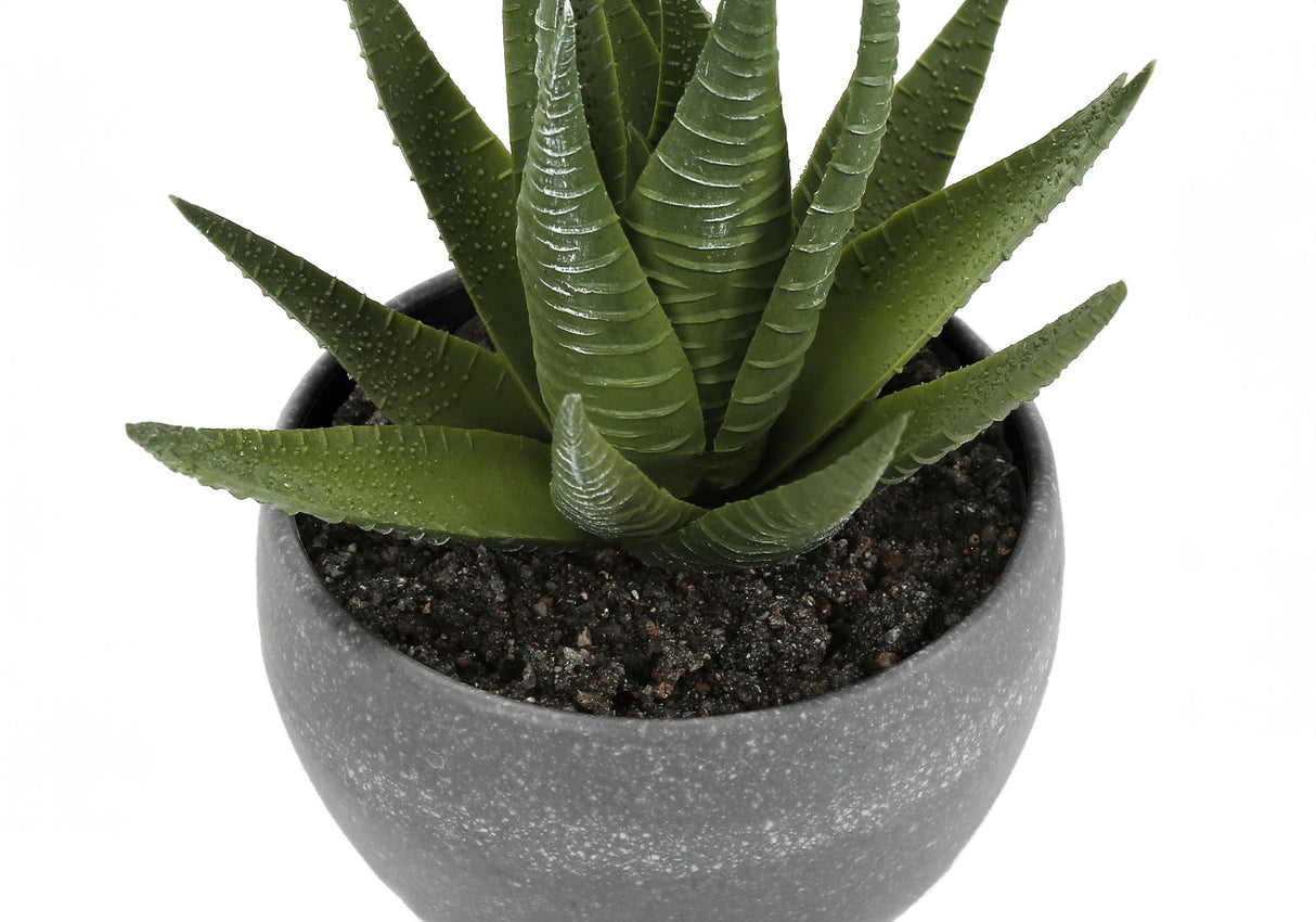 Artificial Succulent Plants (Set of 3)
