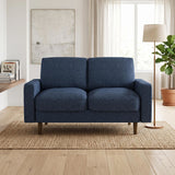 2 Seat Loveseat Sofa, Loose Back Cushion For Living Room