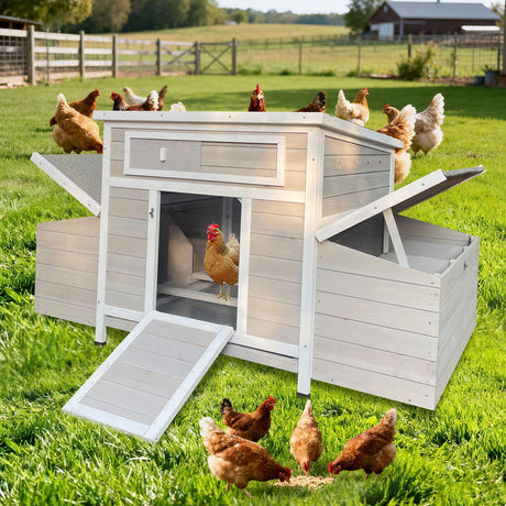 Large Chicken Coop Outdoor Hen House With Dual Nesting Boxes