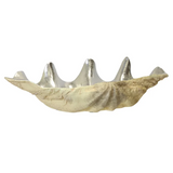 STYLECR   NWA21082   NATURAL   &   SILVER - 21082