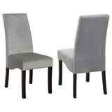 Stanton Velvet Upholstered Dining Side Chair Grey (Set of 2) - 102062