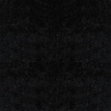Betty Velvet Upholstered Dining Side Chair Black (Set of 4) - 105072