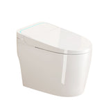 Smart Bidet Toilet With Auto Open / Close Seat