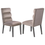 Carla Velvet Upholstered Dining Side Chair Ash (Set of 2) - 106684