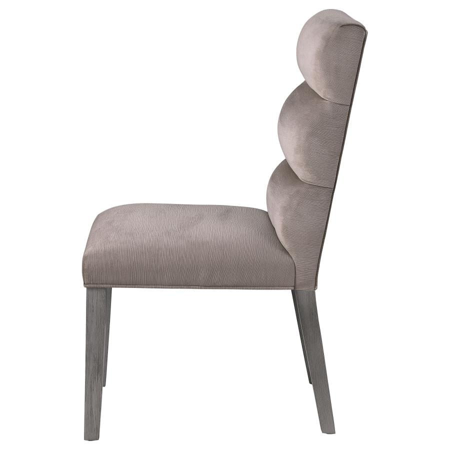 Carla Velvet Upholstered Dining Side Chair Ash (Set of 2) - 106684