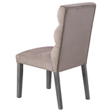 Carla Velvet Upholstered Dining Side Chair Ash (Set of 2) - 106684