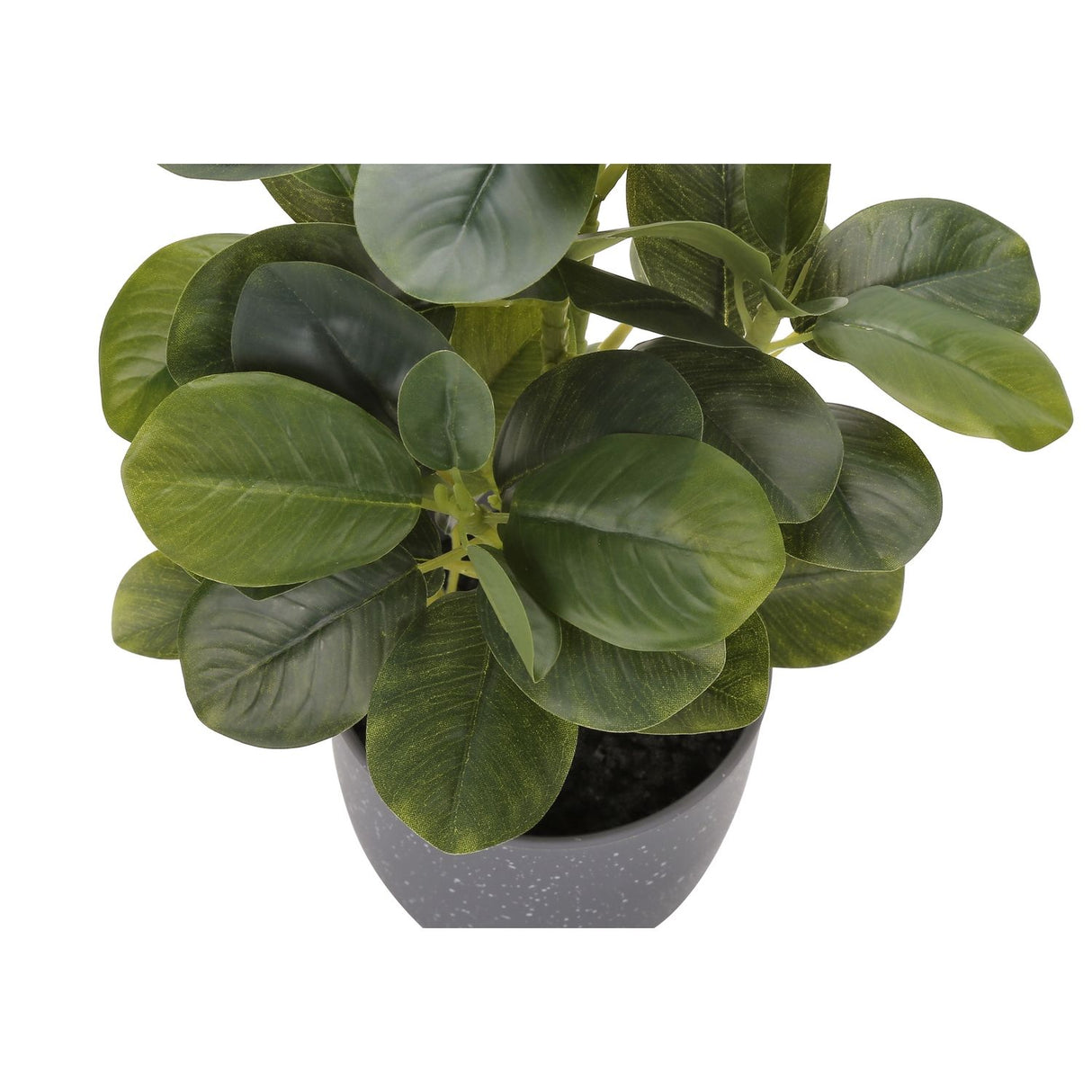 Artificial Ficus Elastica Plant (Set of 2)