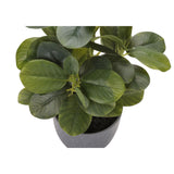 Artificial Ficus Elastica Plant (Set of 2)