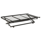 Eden Metal Twin Pop Up Trundle Bed Black - 1137
