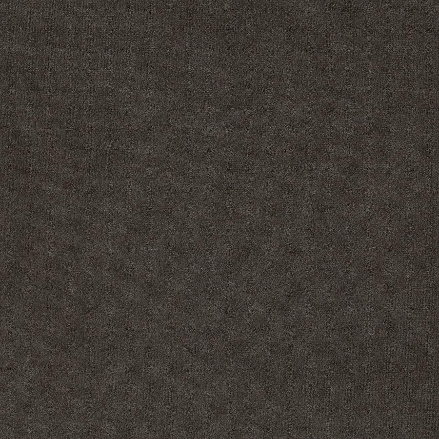 Alana Velvet Upholstered Dining Side Chair Brown (Set of 2) - 115172