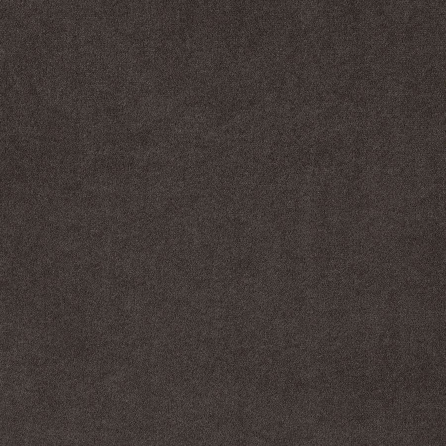 Alana Velvet Upholstered Dining Arm Chair Brown - 115173