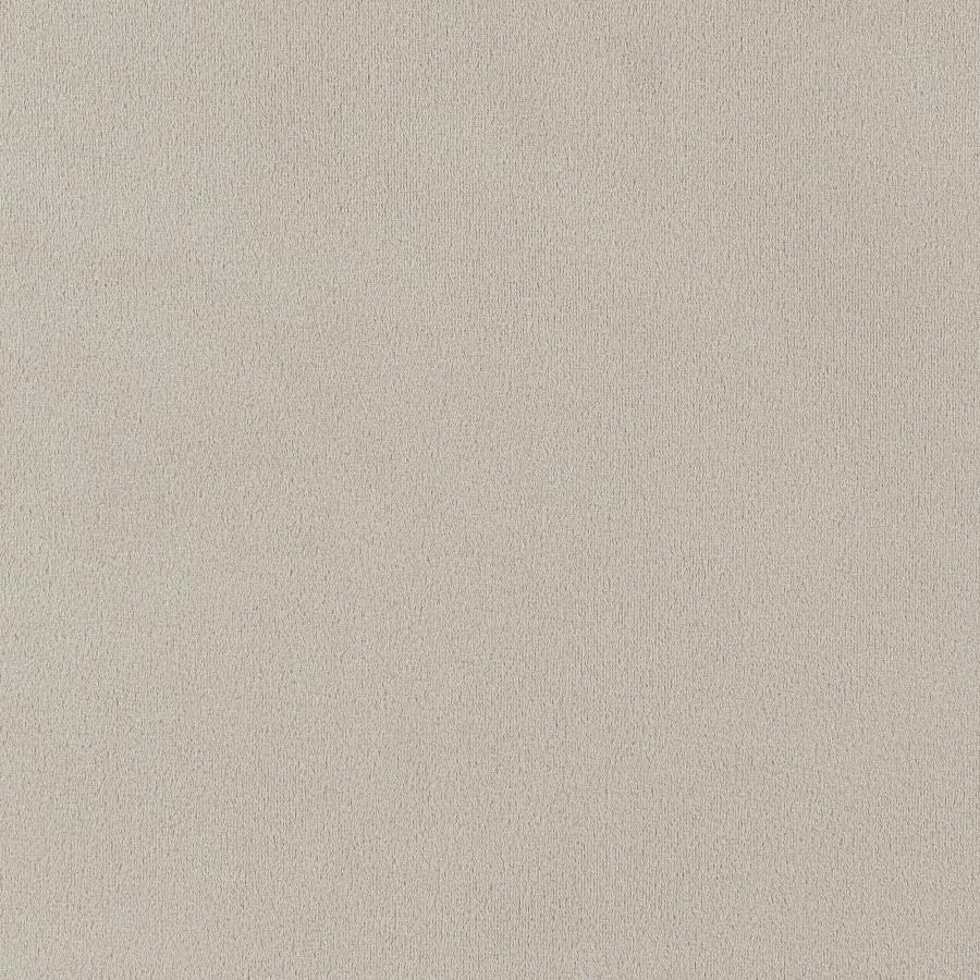 Alana Velvet Upholstered Dining Arm Chair Sand - 115183