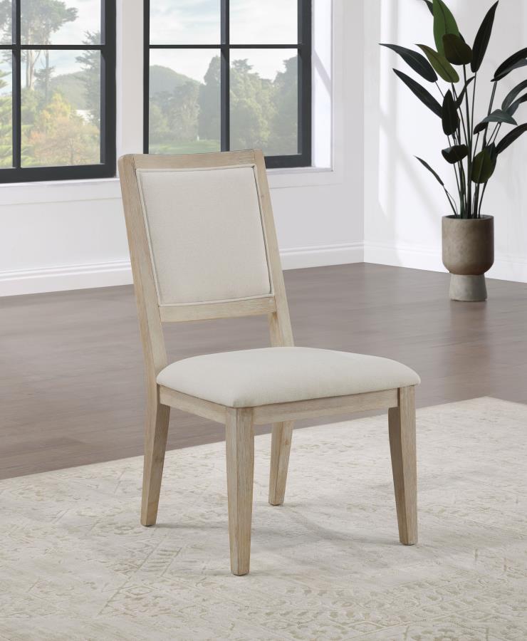 Trofello Cushioned Dining Side Chair White Washed (Set of 2) - 123122