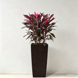 Indoor Outdoor Planter With Automatic Watering System
