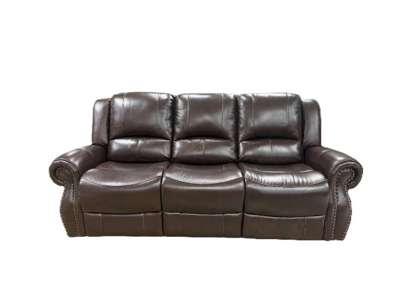 ZL66901X-30 Special Dark Brown Reclining Sofa - FGL66901X-30