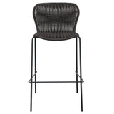 Mckinley Faux Rattan Metal Bar Chair Brown (Set of 2) - 192040