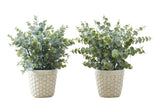 Artificial Eucalyptus Grass (Set of 2)